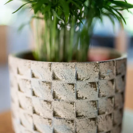 Okrasni lonec Jim š21 x v19 cm cement