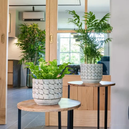 Okrasni lonec Jim š21 x v19 cm glinen