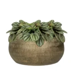 Okrasni lonec Ryan zlat š28 x v13 cm