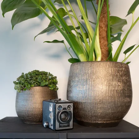 Okrasni lonec Ryan zlat š36 x v32 v prostoru