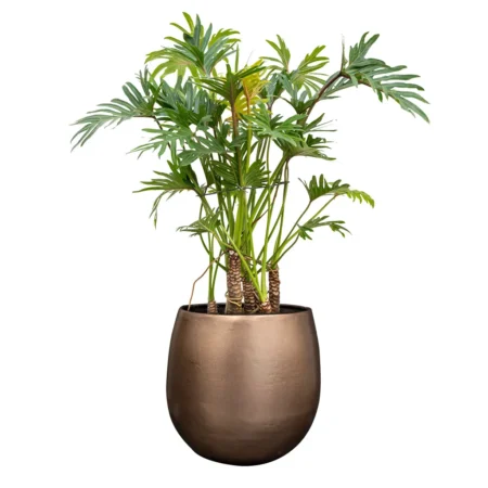 Okrasni lonec Stin zlate barve Bonsai lonci za rože