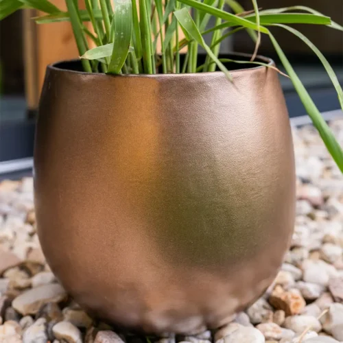 Okrasni lonec Stin zlate barve by Bonsai okrasni lonci