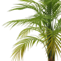 Umetna palma Areca 90 cm v lončku Kalifornija umetne palme