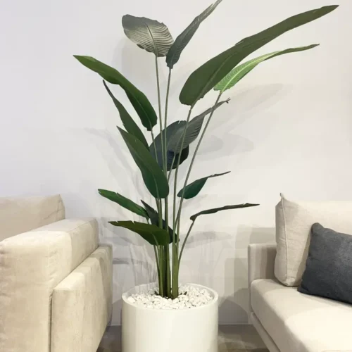 umetne rastline - strelicija 210 cm