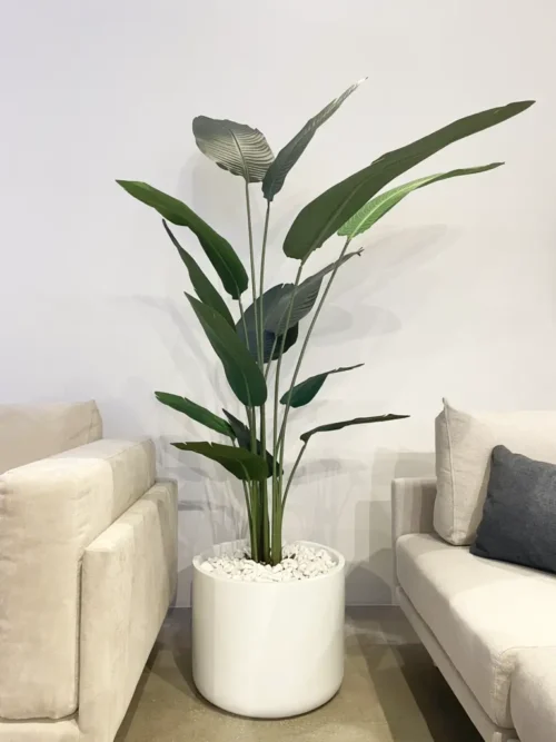 umetne rastline - strelicija 210 cm