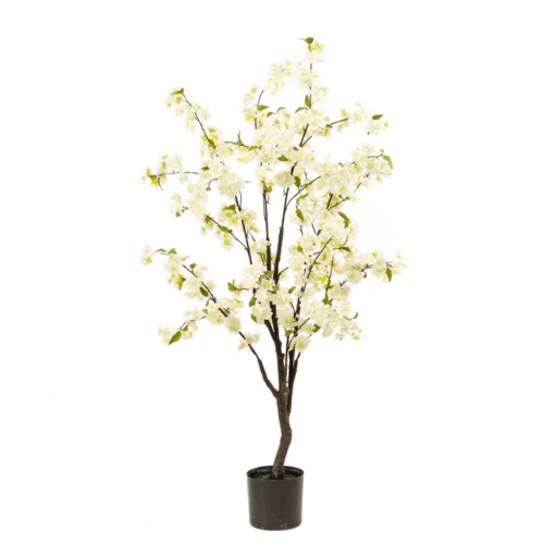 Cvetno drevo - cvetoče drevo češnja bele barve 135 cm