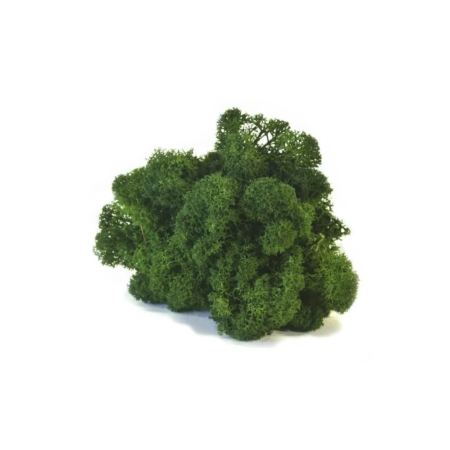 umetni mah prezerviran gozdna zelene barve 5kg
