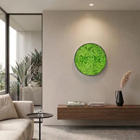 Prezerviran reindeer mah v črnem krogu 50