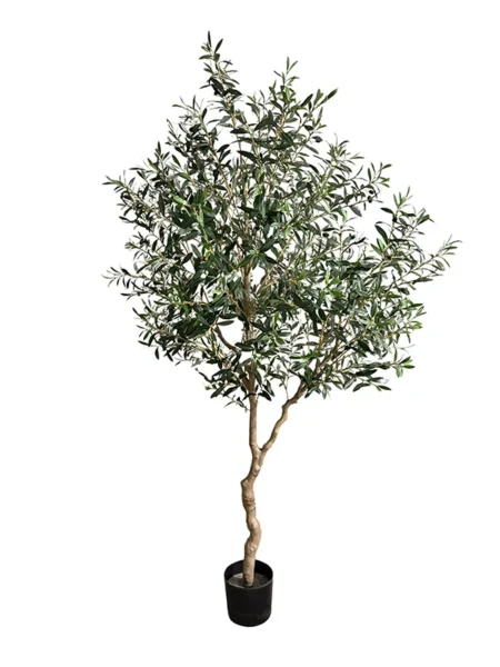 Umetna oljka 210cm z UV zaščito
