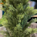 umetne zunanje rastline - umetna cipresa thuya Cedar čempres
