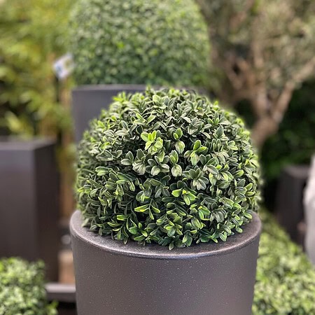 umetne zunanje rastline umetni pušpan bux buxus šimšir umjetni buchsbaum piante artificiale