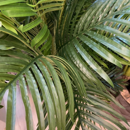Umetna palma Cuba 180 cm - poseben realističen videz - umetne palme Bonsai - umjetne palme - Kunstpalmen - palm tree artificial