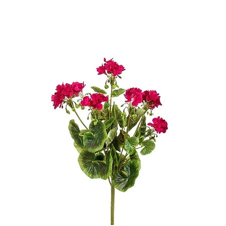 geranija grm UV 47 cm roza