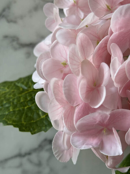 Hortenzija veja RT roza 50cm (real touch)