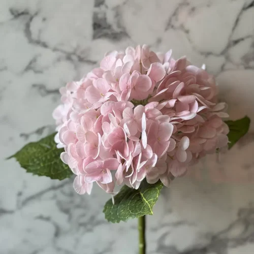 Hortenzija veja RT roza 50cm (real touch)