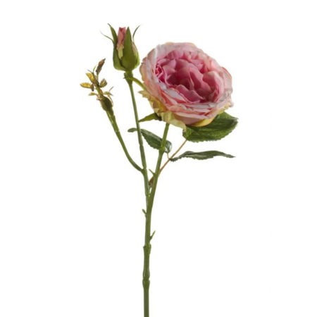 Vrtnica Anamary roza 37 cm