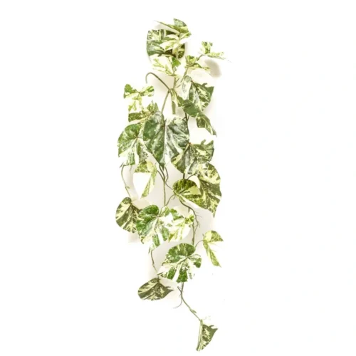 Umetna plezalka Scindapsus variegata 90