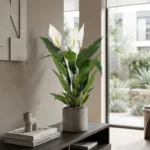 Umetna rastlina Spatifil 90cm z belimi cvetovi