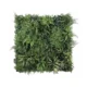 Zelena stena100 x 100 cm Atene