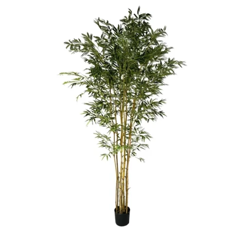 Bambus x9 210 cm
