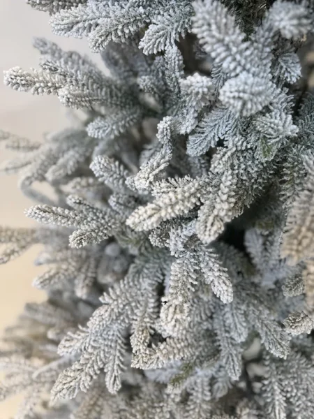 Umetna zasnežena jelka Aspen 240 cm Slim Umetne zasnežene jelke - ozke novoletne jelke Aspen 210 slim