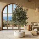 Umetna oljka 220 cm na naravnem deblu