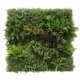 Zelena stena Andora 100cm x 100cm