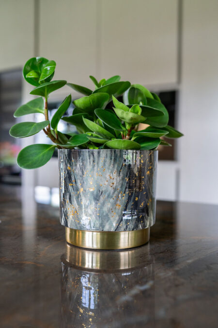 Okrasni lonec za rože Celia