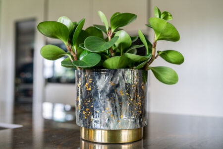 Okrasni lonec za rože Celia