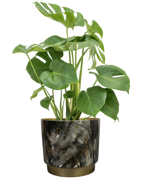 Okrasni lonec za rože Celia