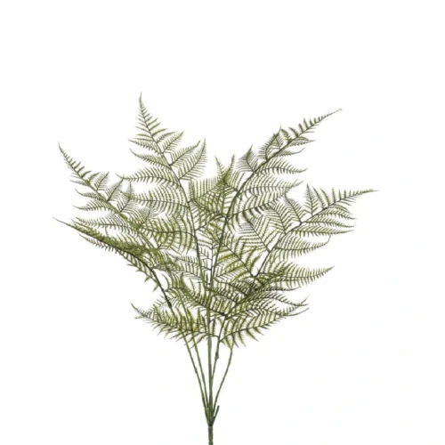 Praprot garden grm x7 UV zelen 65cm