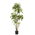 Umetno drevo Polyscia Aralija 161cm