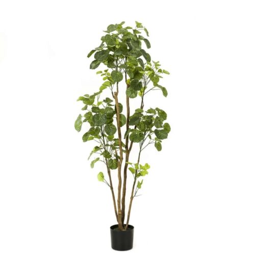 Umetno drevo Polyscia Aralija 161cm