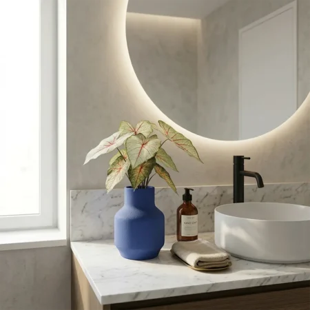 Kaladij grm zeleno rdeč 40cm