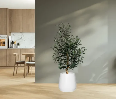 oljka v okrasnem loncu Mia bele barve Okrasni lonec Mia bele barve 28x30cm