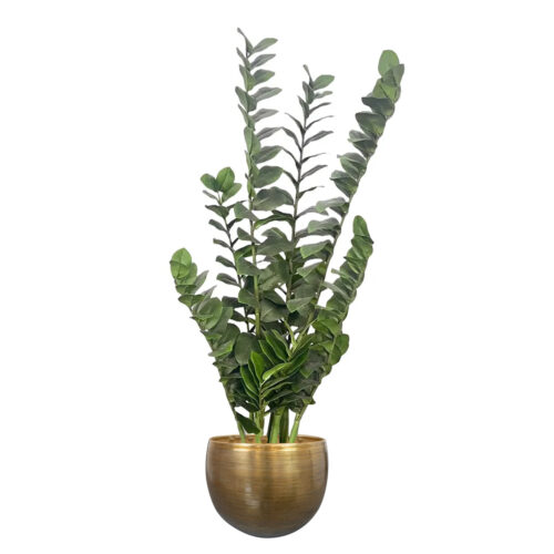 Umetna zamija 110 cm (Zamioculcas) Umetna zamija 110 - umetne rastline Bonsai dekorativne rastline - umjetne biljke - umjetna zamija Zamioculcas