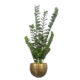 Umetna zamija 110 cm (Zamioculcas) Umetna zamija 110 - umetne rastline Bonsai dekorativne rastline - umjetne biljke - umjetna zamija Zamioculcas