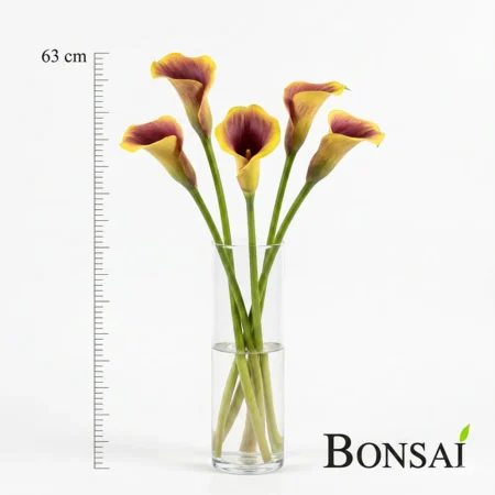 Kala 63 cm rumenkasto vijolična