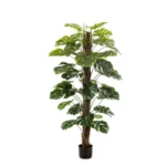 Monstera na steblu 150 cm