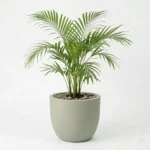 Okrasni lonec Aria 44 cm peščena barva Okrasni lonec Aria peščene barve