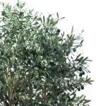 Umetna oljka 180 cm Paros FR(težje vnetljivo)