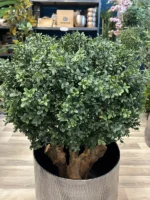 Umetni pušpan na steblih 90 cm - zunanje umetne rože