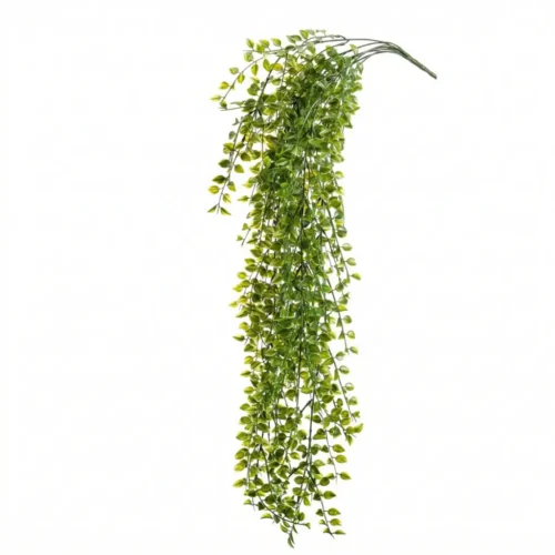Viseča plezalka 80 cm Ficus Pumila z UV zaščito