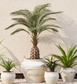 Umetna palma UV 150 cm