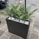 Umetna palma UV 60 cm cvetlično korito dolomite 80