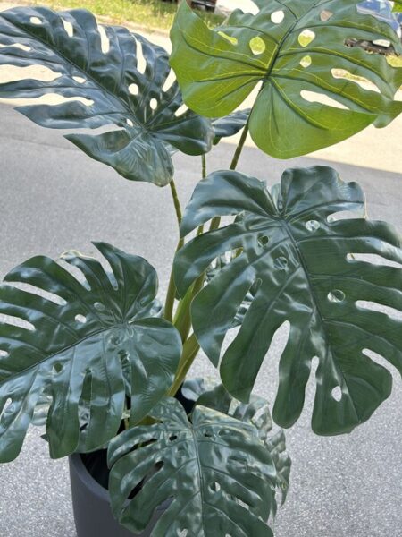 Umetna monstera 140cm