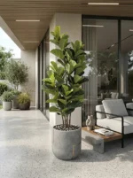 Umetna figa Lyrata 150 cm UV v loncu