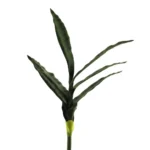 Sanseverija veja 58cm zelena