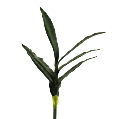 Sanseverija veja 58cm zelena