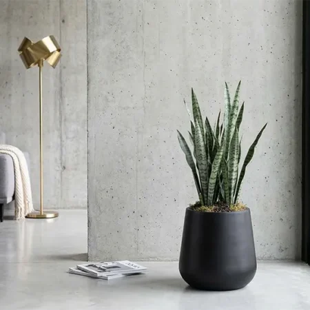 Okrasni lonec Mia 40 x 33 cm črne barve